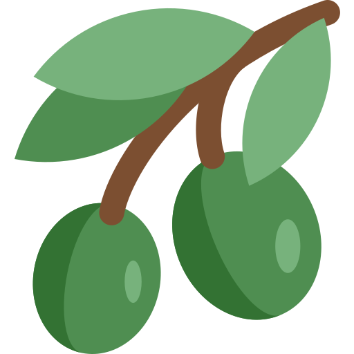 Olivo